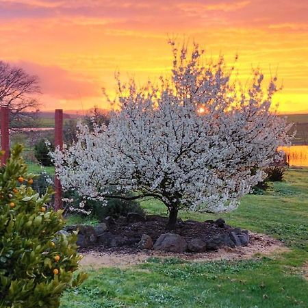New Horizons Farm Stay Smeaton Екстер'єр фото