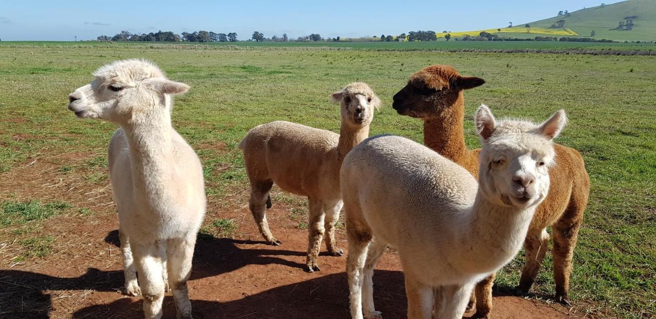 New Horizons Farm Stay Smeaton Екстер'єр фото